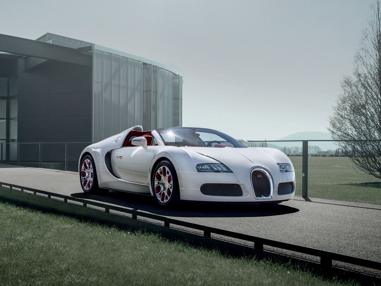 Bugatti Veyron Wei Long powstał w 2012 roku z okazji roku smoka rozpoczynającego się ówcześnie w Chinach. Białe nadwozie skrywa soczyste czerwone wnętrze z dodatkami z porcelany wykonanymi przez Königliche Porzellan-Manufaktur.