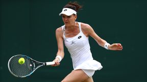 Znana ścieżka Agnieszki Radwańskiej na trawie. Polka powróci do Birmingham