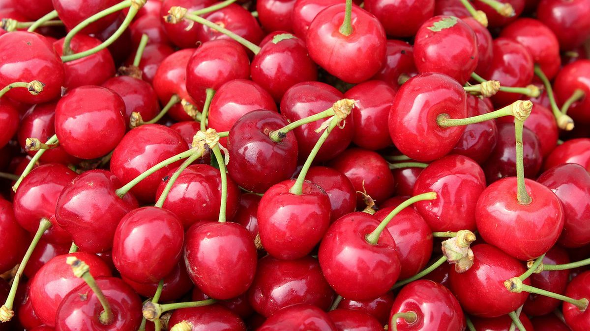 Szokująca cena za czereśnie. Zdjęcie ilustracyjne. 