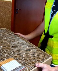 Śląskie. Lewy towar w tyskim butiku. Ponad 16 tysięcy nielegalnych papierosów
