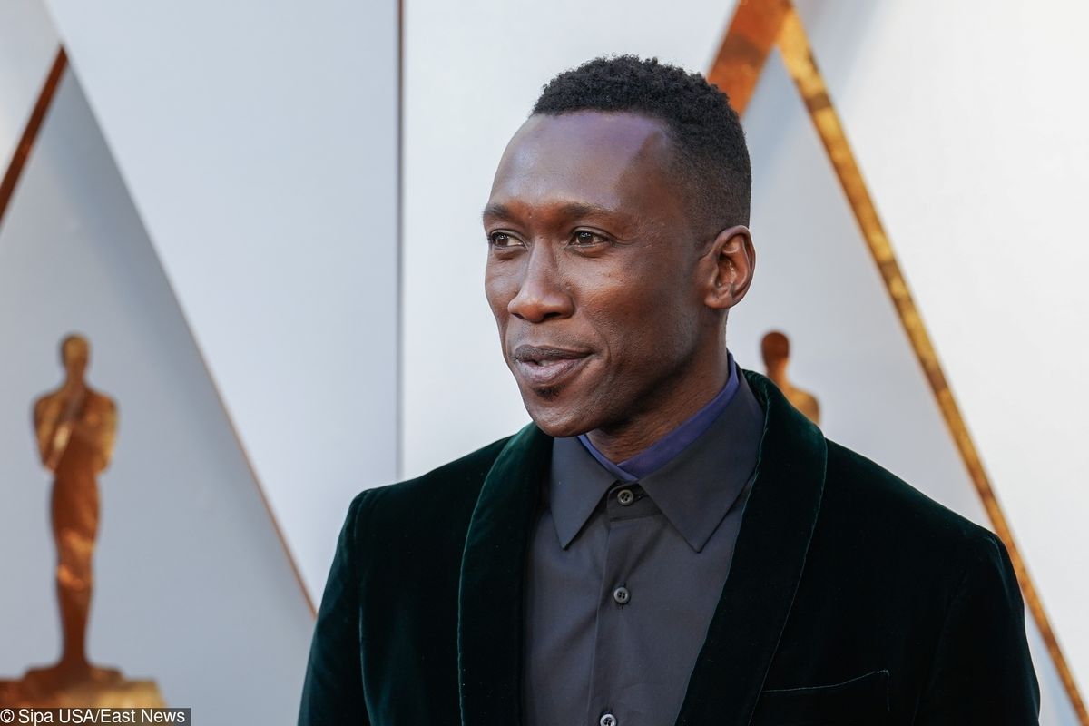 3 sezon „True Detective” - jest już zwiastun. Mahershala Ali w roli głównej!
