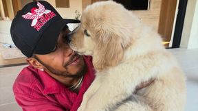 Hamilton spędza wakacje z Kardashian. Szczeniak skradł serce kierowcy Ferrari