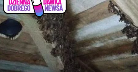 Są ich setki. Żyją pod jednym dachem. To rzadkie stworzenia