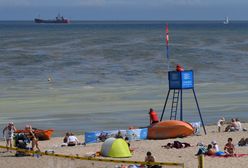 Sinice 2022. Zamknięte kąpieliska. Aktualna Mapa sinic [28.07.2022]