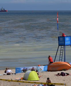 Sinice 2022. Zamknięte kąpieliska. Aktualna Mapa sinic [28.07.2022]