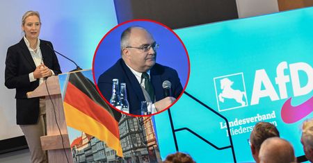 "Polityk musi włożyć rękę w to g***o". Ekspert o relacjach z AfD