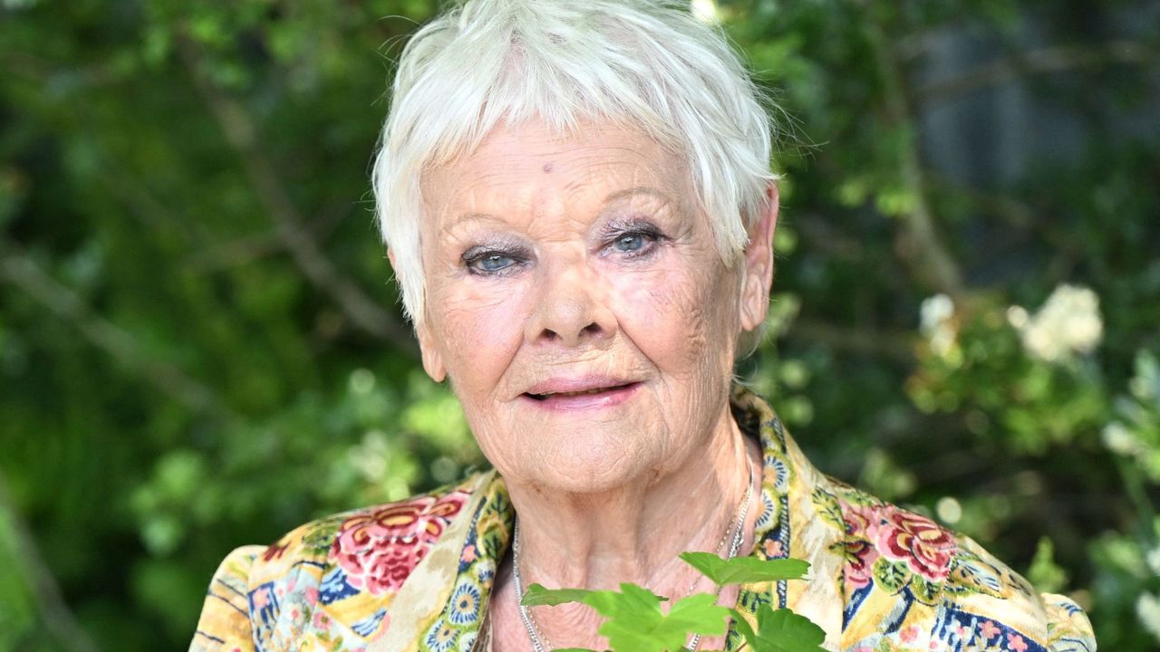 Judi Dench: "Mój wzrok się pogarsza"