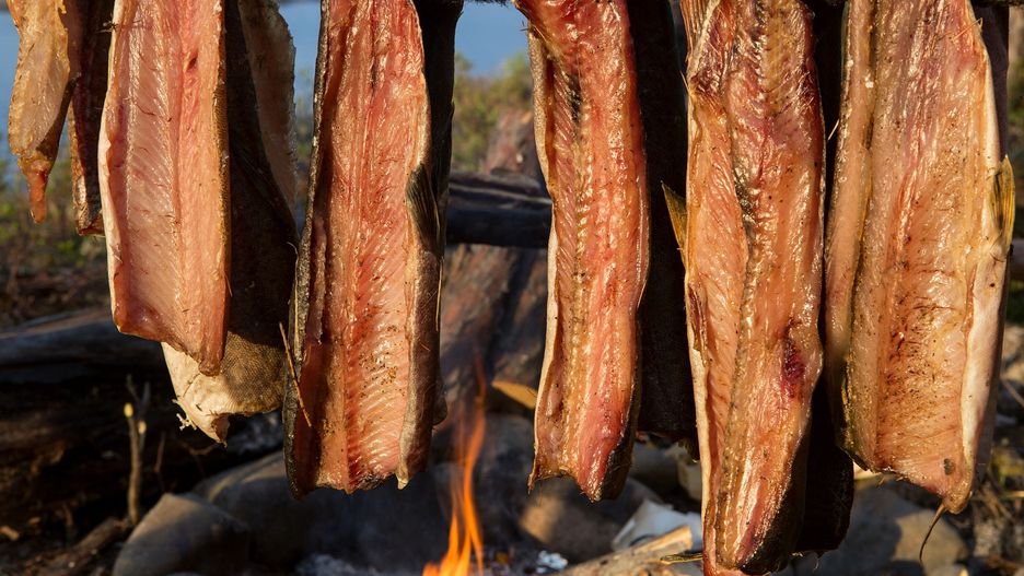 Niedobór witaminy B12 jest groźny dla zdrowia