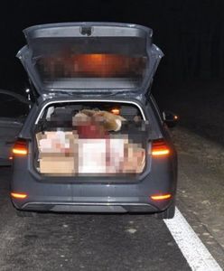 Lubelskie. Z impetem wjechał w sarnę. Trafił do szpitala