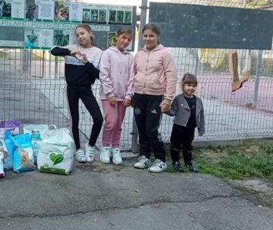 Śląsk. Od początku wiedziały, komu chcą pomóc. Zaczęły więc sprzedawać lemoniadę