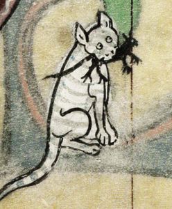 Koszmar średniowiecznych kotów. Mroczne znaczenie "kupowania kota w worku"