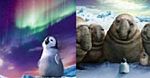 [wideo] Pingwiny znów tupią stópkami w zwiastunie ''Happy Feet 2''