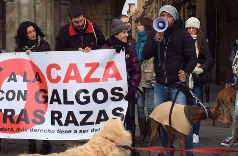 Activists protesting against the mistreatment of Spanish greyhounds