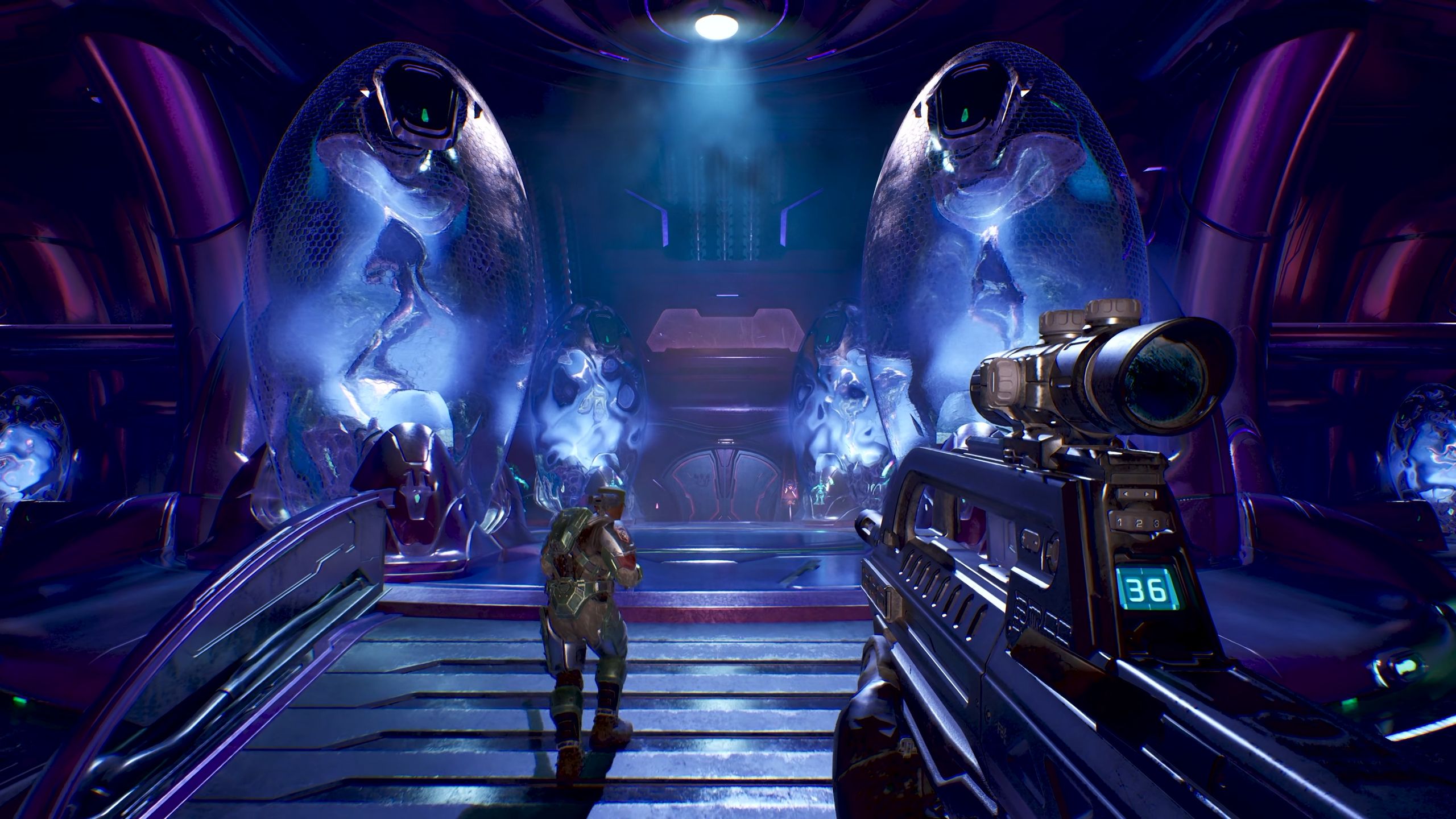 Halo: Campaign Evolved