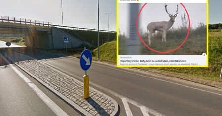 Niesamowity widok pod Gdańskiem "Podobno przynosi szczęście"