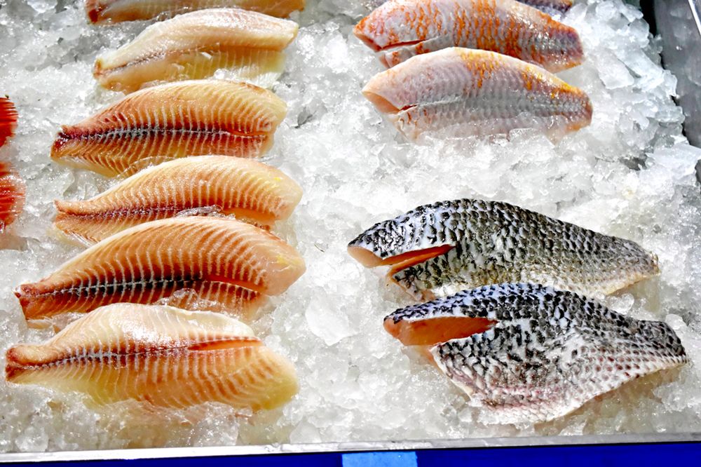Jak kupować ryby, żeby się nie naciąć? Rady, które przydadzą się przed świętami