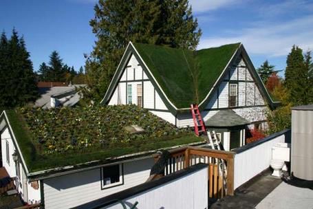 TOP 10: Zielone dachy, czyli architektura z polotem 9