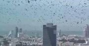 Krążyły nad Tel Awiwem. Pokazali zdjęcia