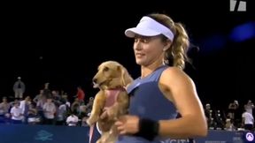 Nagle pojawił się na korcie. Oto co zrobiła Rosjanka