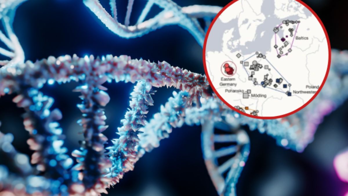 Badanie DNA pokazało jak wyglądała migracja Słowian