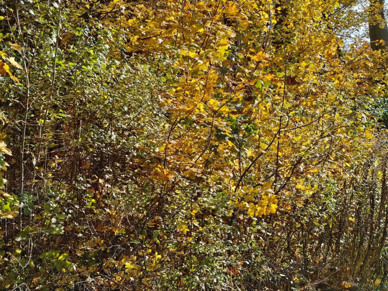 Przewijaj w dół, aby przejść do następnych zdjęć!