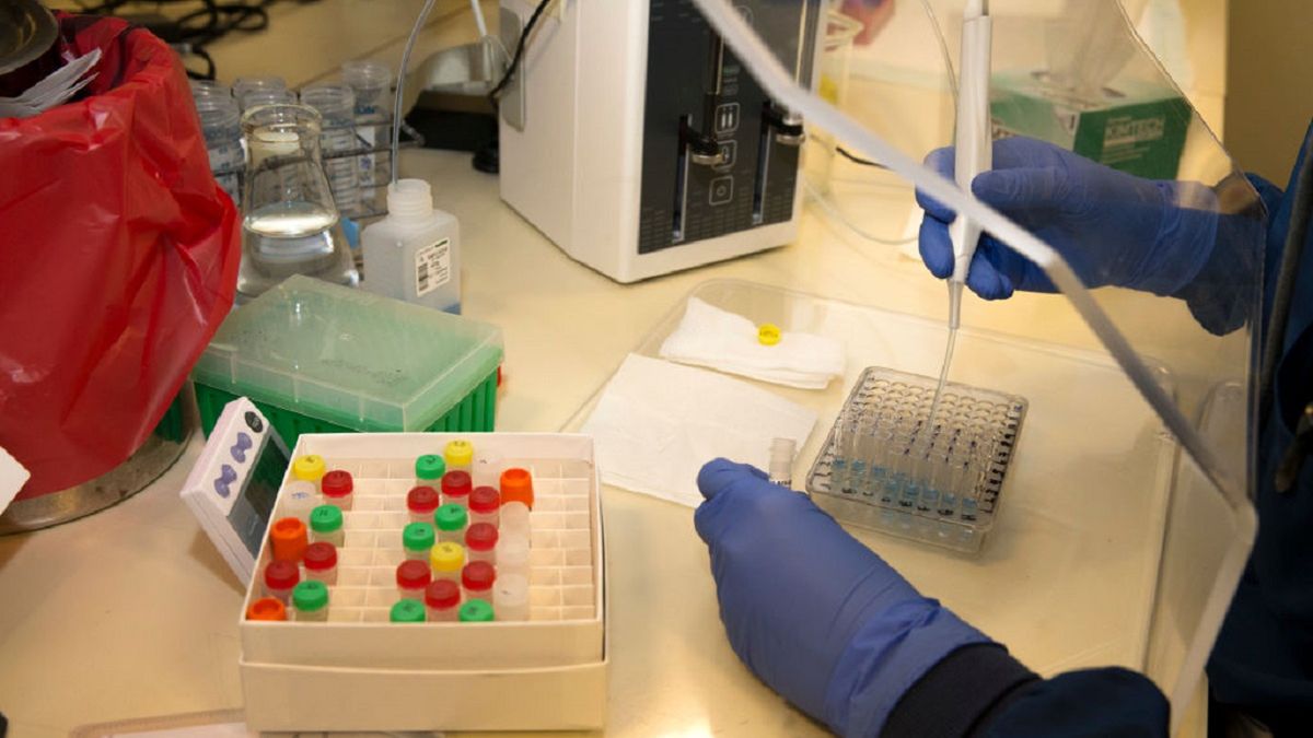 Koronawirusa potwierdzono u kolejnych pracowników fabryki mrożonek i lodów. 