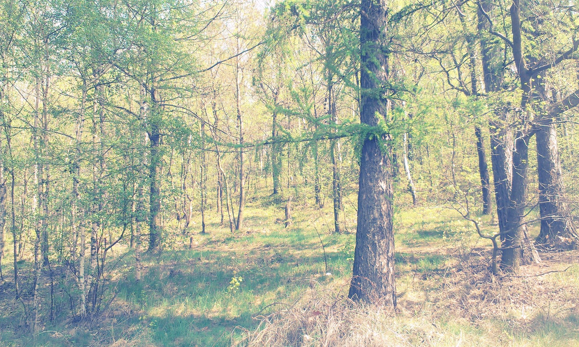 HTC One V - piękny w cieniu braci [test] 11
