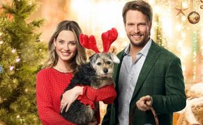 TVP 2 HD Niania na święta