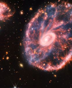 Kosmiczna skamielina. Odkryto galaktykę, tłumaczącą działanie kosmosu