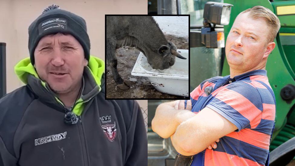 Łukasz Sędrowski z "Rolnika" o Andrzeju z Plutycz