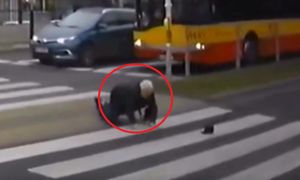 Wywalił się na pasach. Dramatyczne nagranie z Warszawy