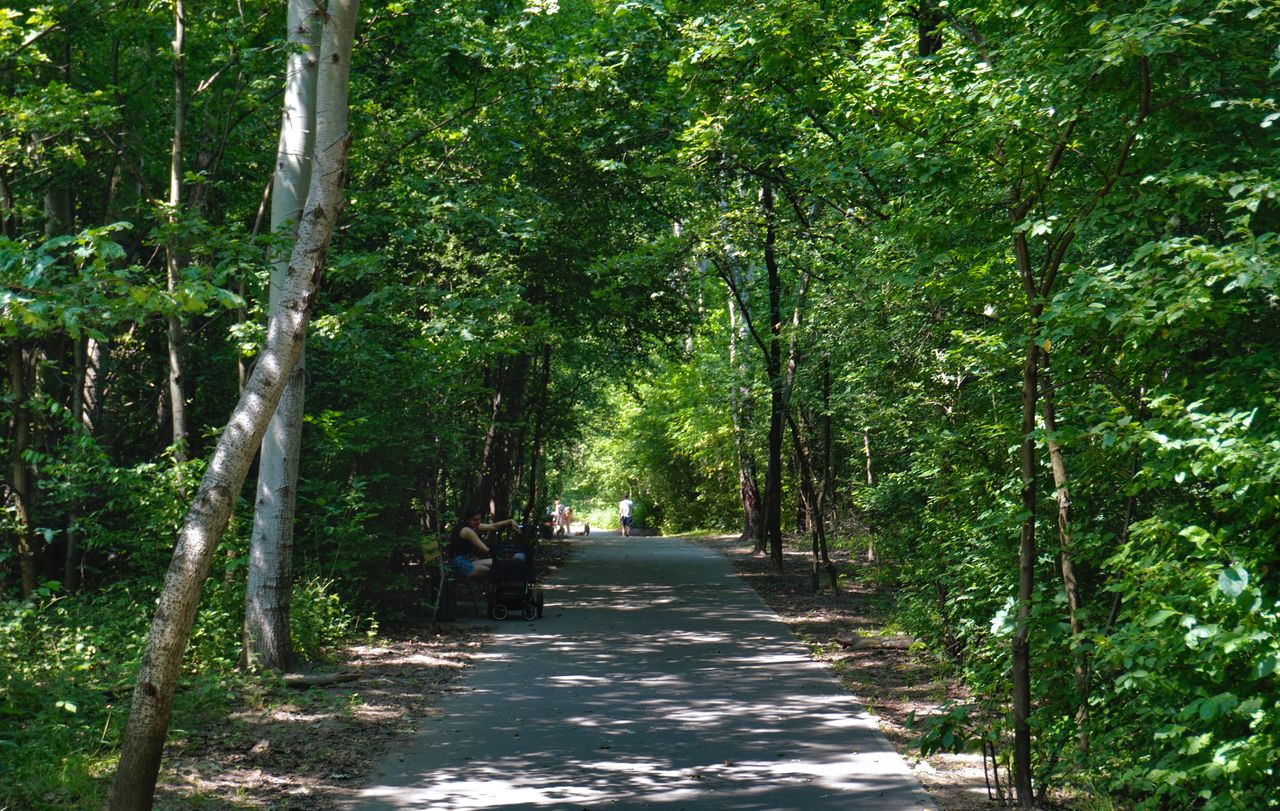 Kraków: XIX-wieczny park w Bieżanowie idzie wreszcie do remontu. Miejsce nie straci historycznego charakteru