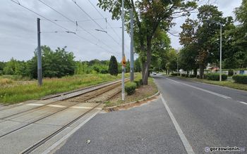 Gorzów: Rozbudowa ul. Walczaka zatrzymana przez lipy. 20 lat później wciąż nie ma planu