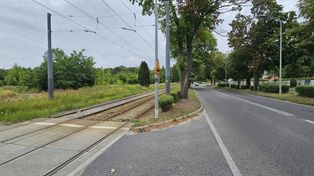 Gorzów: Rozbudowa ul. Walczaka zatrzymana przez lipy. 20 lat później wciąż nie ma planu