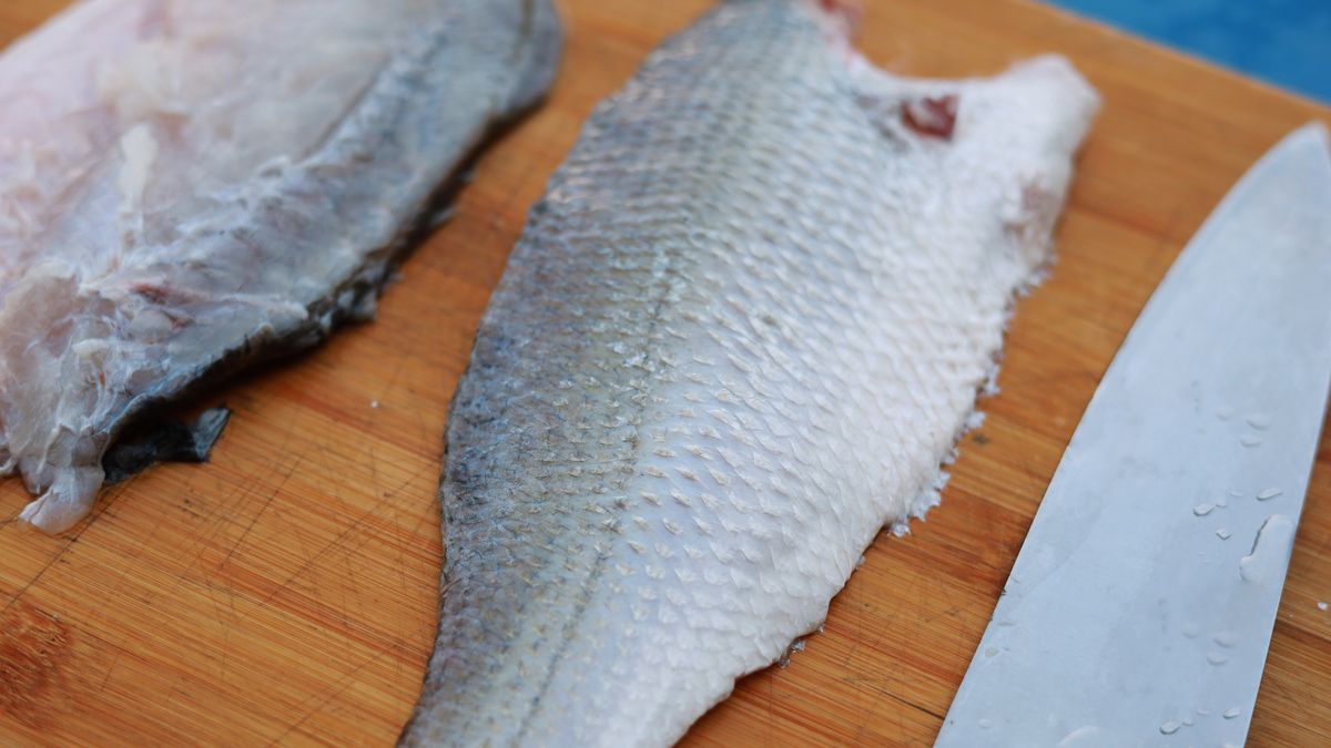 To jedna z najzdrowszych ryb na świecie