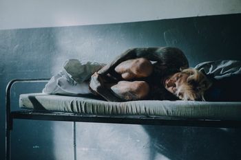 Quebonafide i Zalia łączą siły. Raper ujawnia swoje lęki