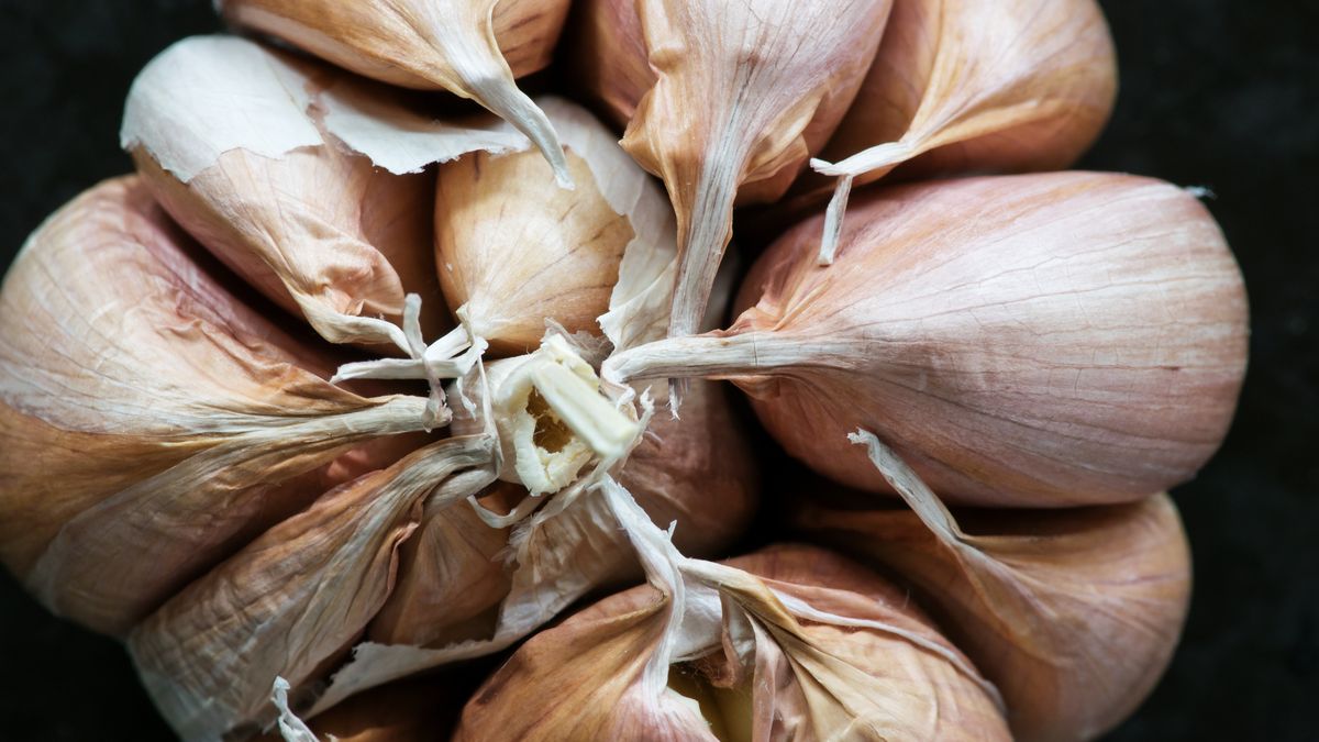 Czosnek ma wiele właściwości