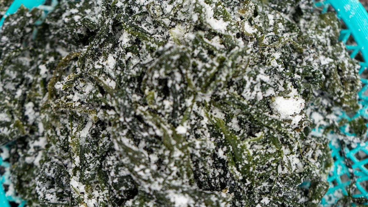 Dlaczego warto jeść mrożone warzywa?