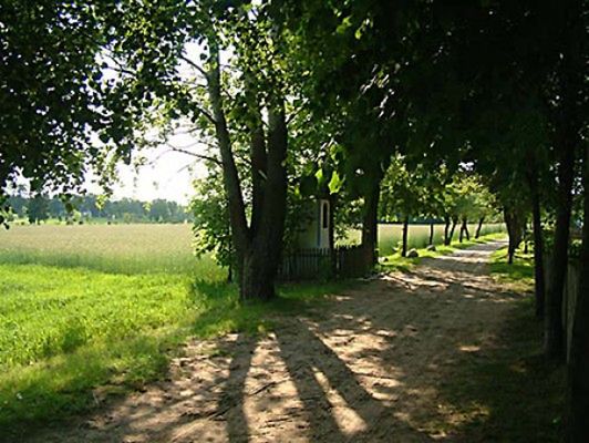 Obraz