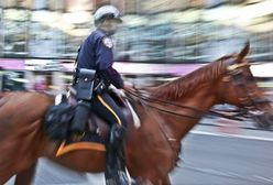 Policjanci nie będą sprzątać po służbowych psach i koniach