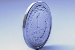 Złote żniwa dla serwisów kas fiskalnych