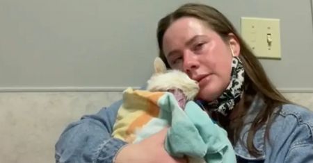 Kocia gwiazda TikToka nie żyje. "Na końcu byłam tylko ja i ona"
