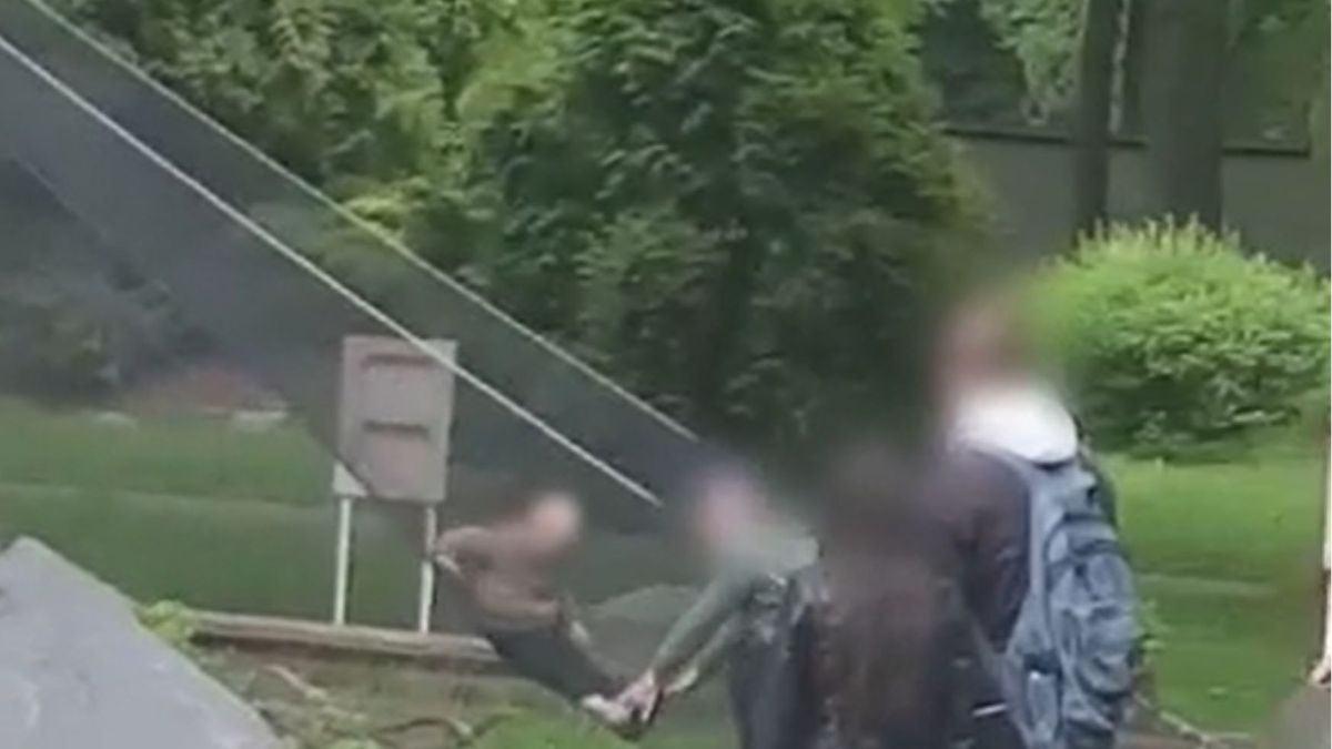 Zrobili zjeżdżalnię z siatki osłaniającej wybieg