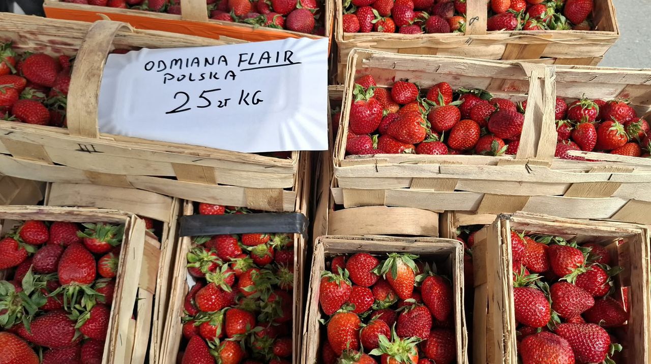 Koniec importu z Grecji? Na targowiska wjechały już pierwsze polskie truskawki