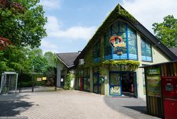 Odkrycie w opolskim zoo. Zwłoki zwierząt znalezione po latach