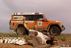 Potwór już wkrótce w Polsce - Iveco Massif