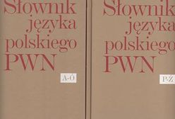 Czystka języka polskiego