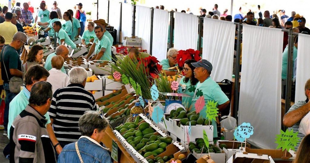 Targi awokado są bardzo popularne na Kanarach