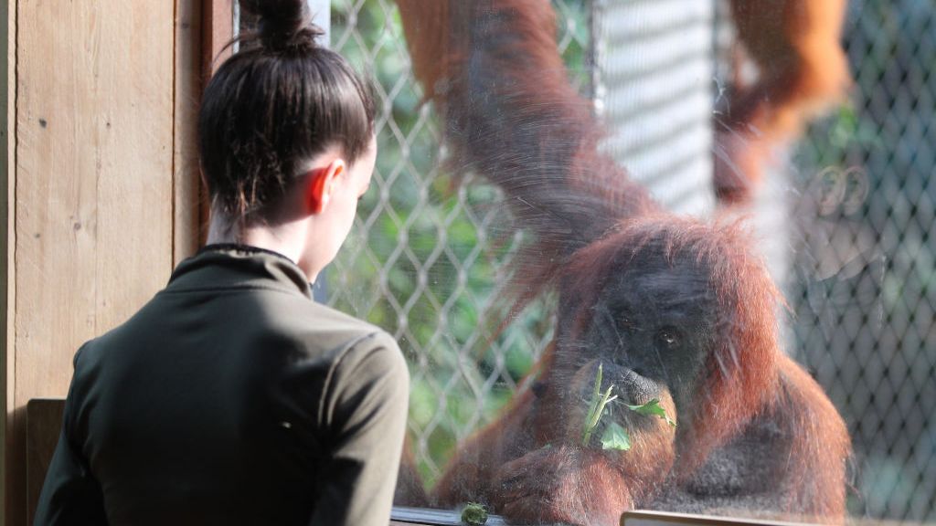 Poszła z niemowlakiem do ZOO. Nie spodziewała się, co ją spotka