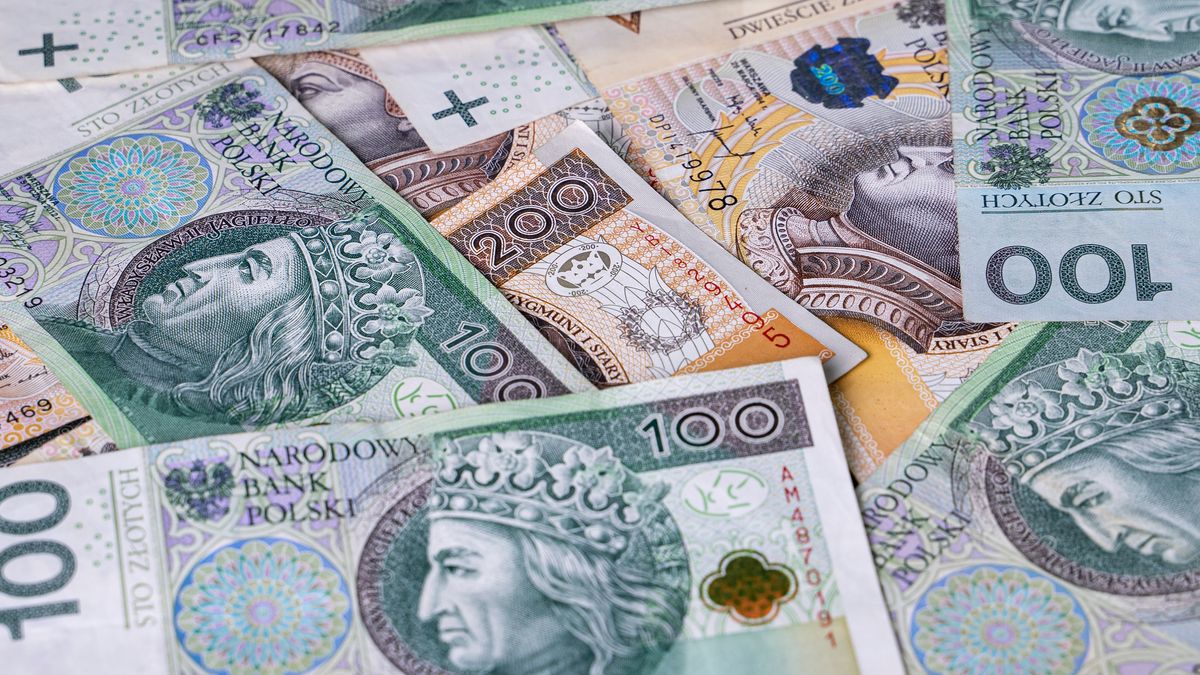 money, currency, cash, finance, bank, business, banknote, wealth, bill, dollars, paper, banking, banknotes, note, exchange, euro, hundred, bills, savings, foreign, polish, economy, pln, poland, zloty, earn, tax, buy, success, financial, rich, pay, investment, save, payment